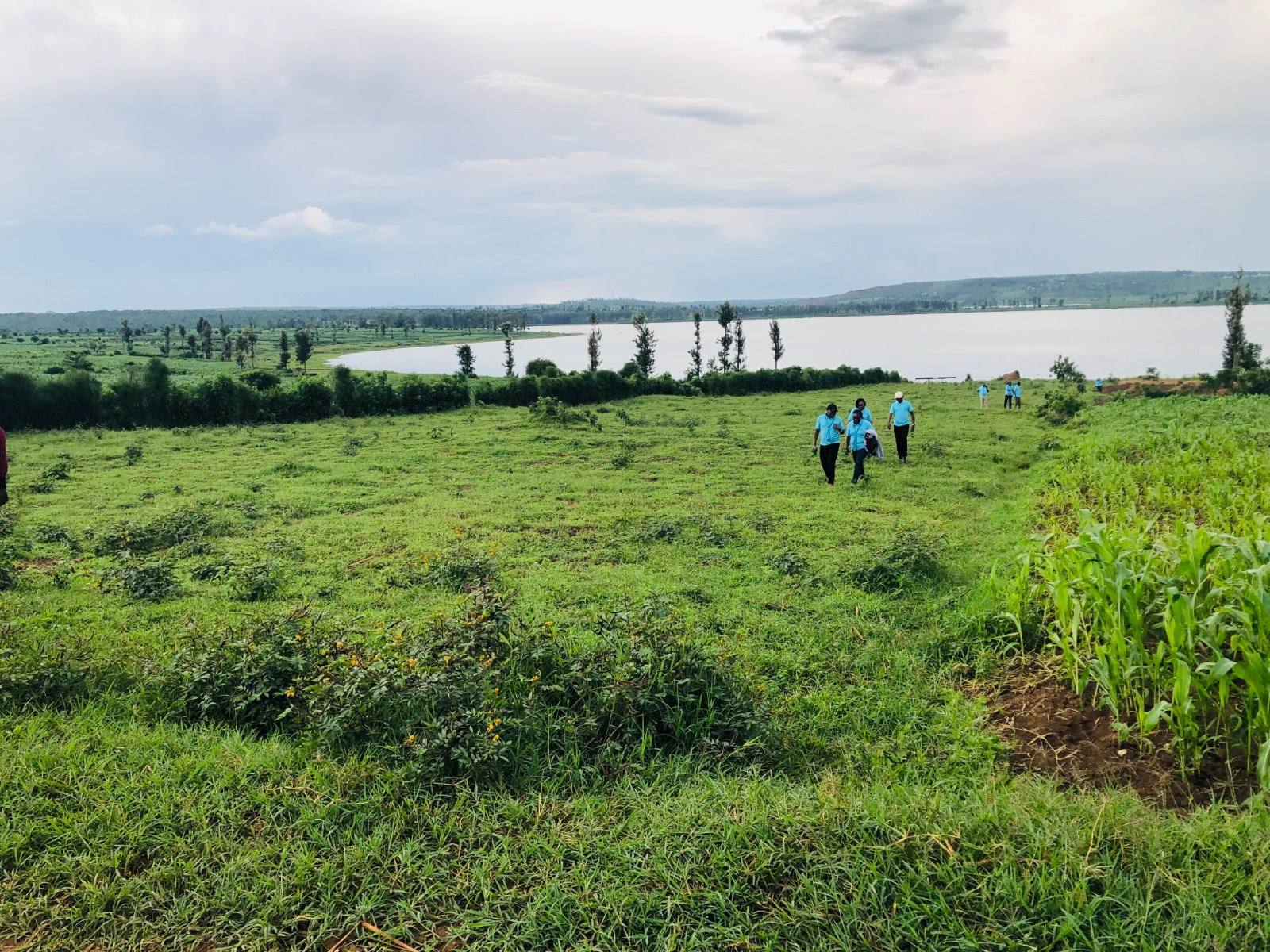 Environment & Ecosystem Protection